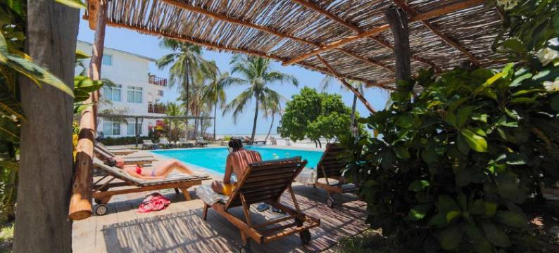 信天翁海景酒店(Albatross Ocean View)图片