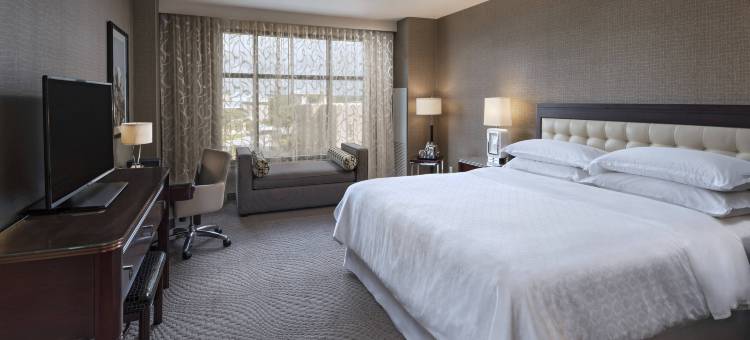 奥斯汀乔治敦喜来登酒店和会议中心(Sheraton Austin Georgetown Hotel & Conference Center)图片