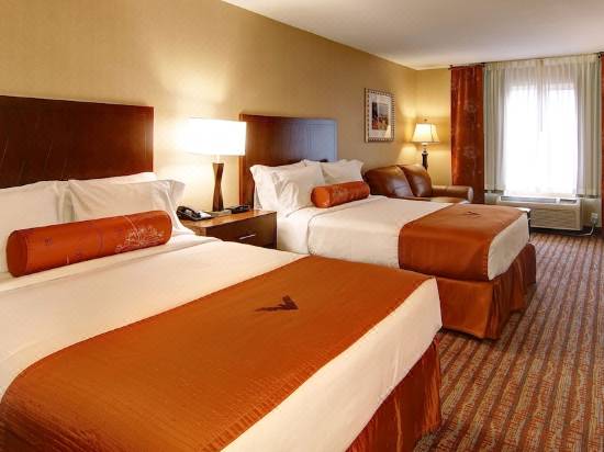 Phoenix Inn Suites Albany Hotel Reviews And Room Rates