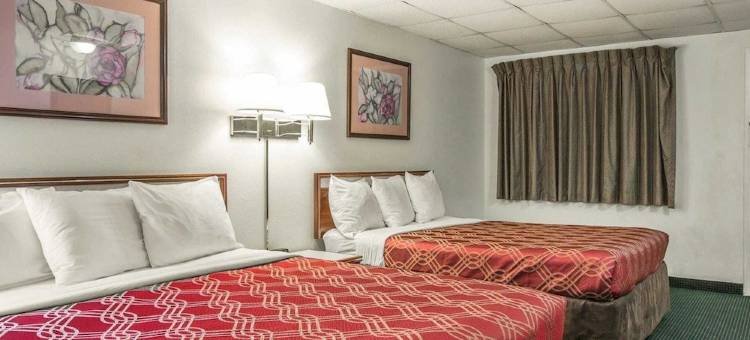 纽波特的伊克诺旅馆(Econo Lodge)图片