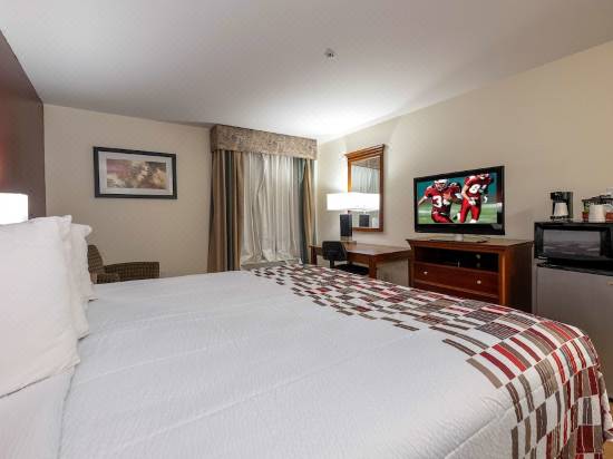 Red Roof Inn Houma Hotel Reviews And Room Rates Trip Com