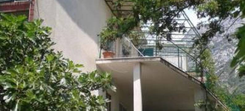 Apartments with Parking Space Gradac, Makarska - 13196图片