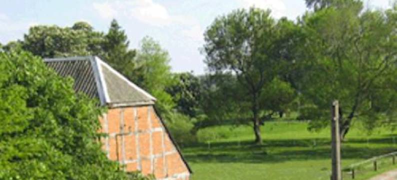 古特扎仁厅地方酒店(Landhotel Gut Zarrentin)图片