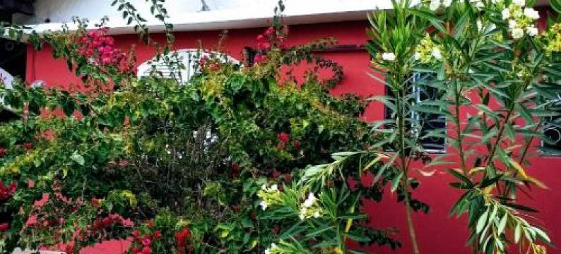 Sítio Recanto do Araçá图片