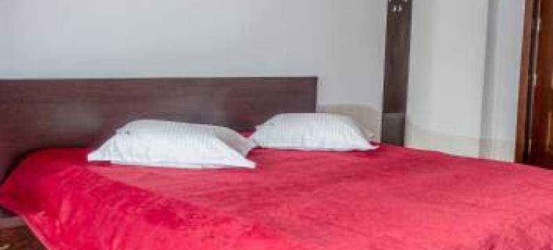 Hotel Ciobanasu图片