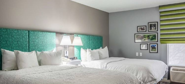 希尔顿欢朋酒店-扬斯敦北(Hampton Inn Youngstown-North)图片