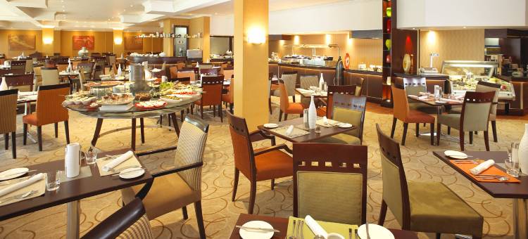 南太阳OR塔波国际机场酒店(Southern Sun or Tambo International Airport)图片