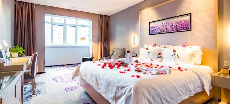 麗枫酒店(北京南站洋桥店)图片