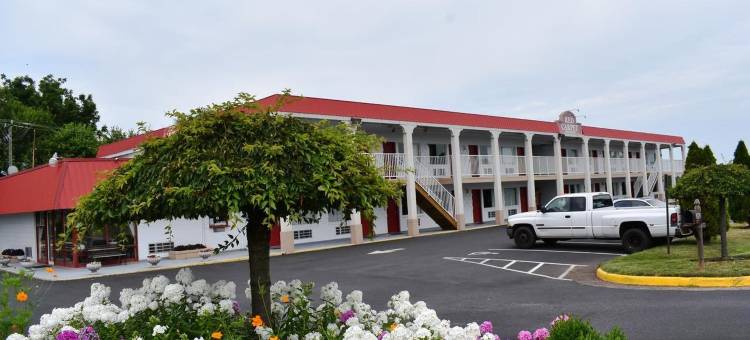 Motel 6 卡尔佩珀, 弗吉尼亚州(Motel 6 Culpeper, VA)图片