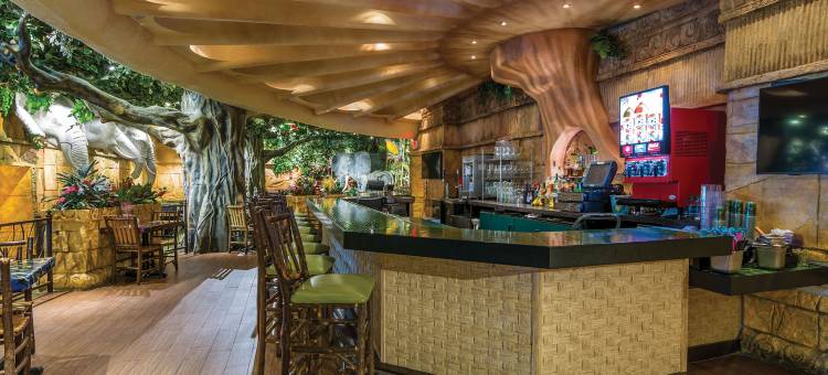 尼亚加拉瀑布喜来登酒店(Sheraton Niagara Falls)图片