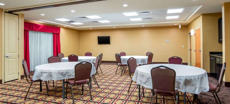 舒适套房酒店(Comfort Suites)图片