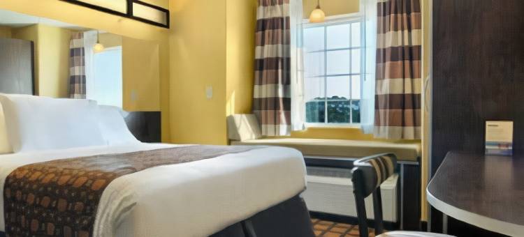 卡特斯维尔麦客达套房酒店(Microtel Inn & Suites by Wyndham Cartersville)图片