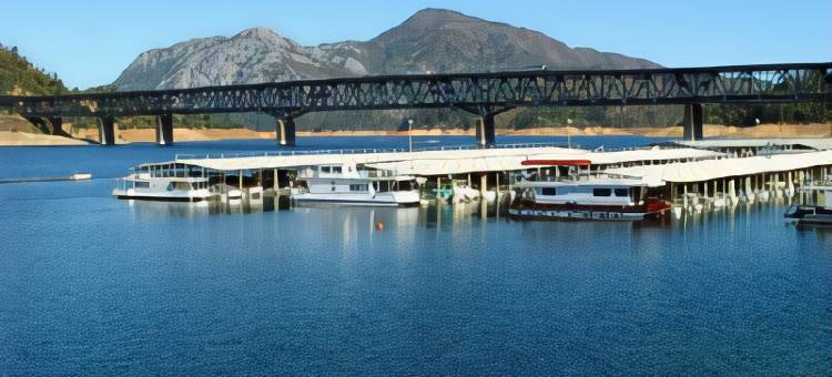 树屋贝斯特韦斯特优质酒店(Best Western Plus Tree House)图片