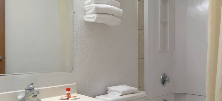 夏洛特大学速8酒店(Super 8 by Wyndham Charlotte University)图片