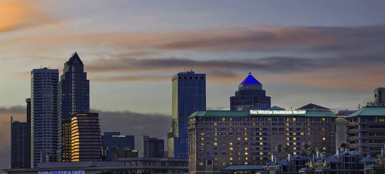 坦帕海滨威斯汀酒店(The Westin Tampa Waterside)图片
