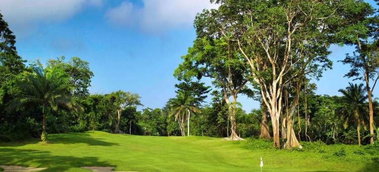 索菲特马拉博斯珀珀高尔夫球场酒店(Sofitel Malabo Sipopo le Golf)图片