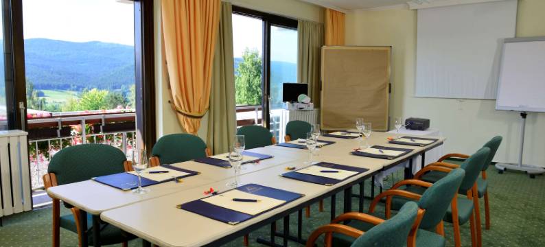 Hotel Sonnenhof Lam图片