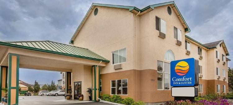 红木国家舒适套房酒店(Comfort Inn & Suites Redwood Country)图片