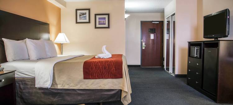 舒适酒店-国际赛道(Comfort Inn International Drive)图片