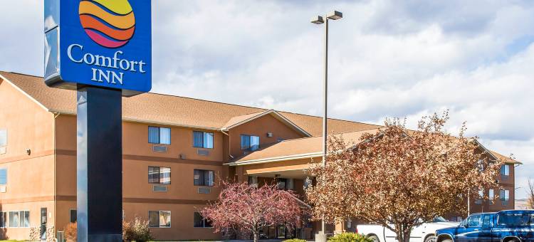 甘尼森克雷斯特德比特舒适套房酒店(Comfort Inn & Suites Gunnison-Crested Butte)图片