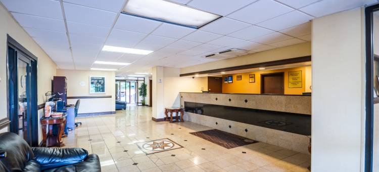 舒适酒店(Comfort Inn)图片