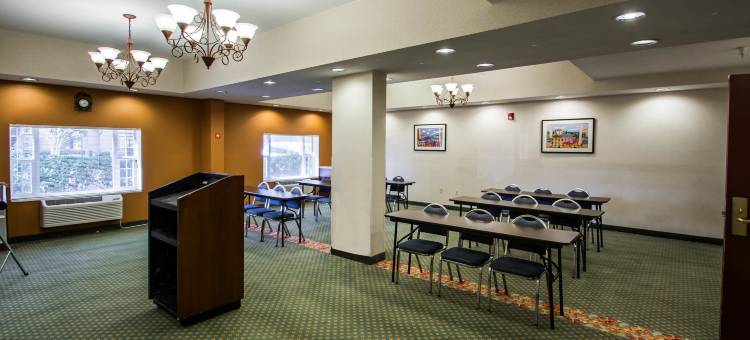 机场舒适套房酒店(Comfort Suites Airport)图片