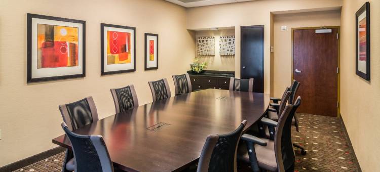 舒适套房酒店-DFW N/葡萄藤(Comfort Suites DFW N-Grapevine)图片