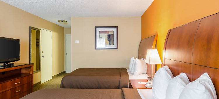 奇科皮-斯普林菲尔德品质酒店(Quality Inn Chicopee-Springfield)图片