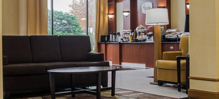 斯塔福德舒格兰舒眠套房酒店(Sleep Inn & Suites Stafford - Sugarland)图片