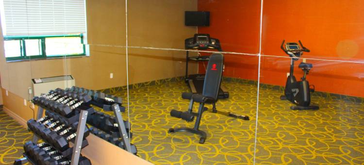 舒适套房酒店(Comfort Inn & Suites)图片