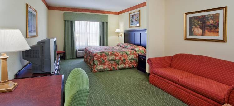 卡尔霍恩舒适套房酒店(Comfort Inn & Suites Calhoun South)图片