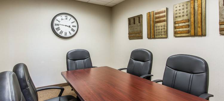 舒适套房酒店(Comfort Suites)图片