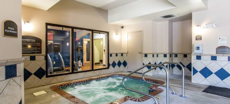 舒适套房酒店(Comfort Suites Smyrna)图片