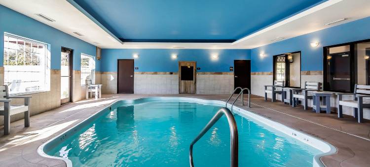 近伯特利学院舒适套房酒店(Comfort Inn & Suites Near Bethel College)图片