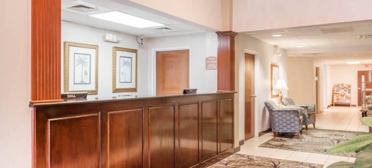 帕特里奥茨波因特舒适套房酒店(Comfort Inn & Suites Patriots Point)图片