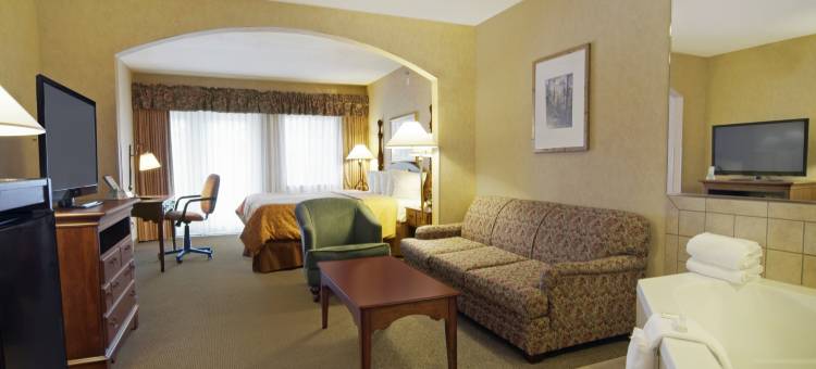 河流逃生贝斯特韦斯特优质套房酒店(Best Western Plus River Escape Inn  Suites)图片