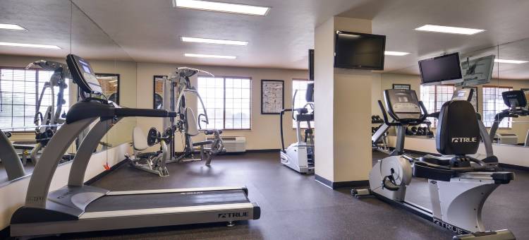 温德姆图森机场酒店及会议中心(Wyndham Tucson Airport & Conference Center)图片