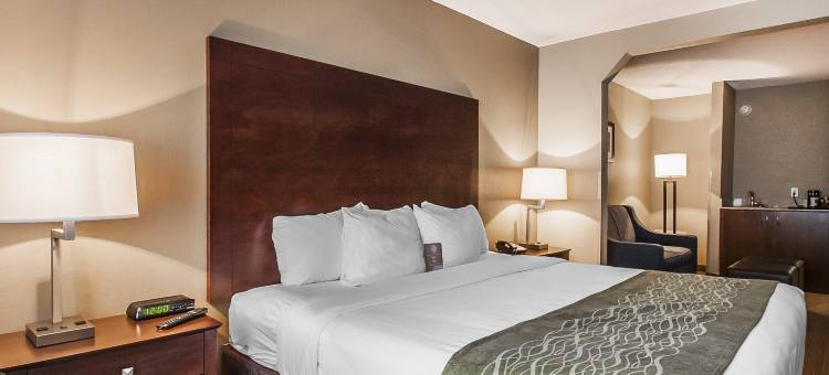 美国80号高速公路舒适酒店(Comfort Inn US Hwy 80)图片