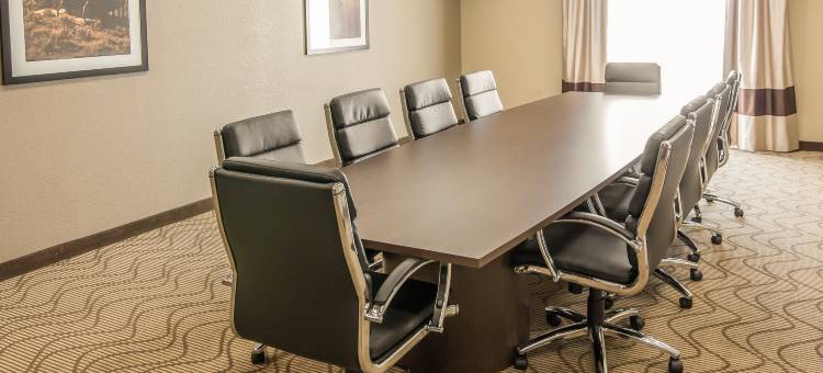 舒适套房酒店(Comfort Suites - Dodge City)图片