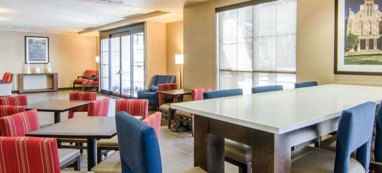 林奇堡机场-大学区舒适套房酒店(Comfort Inn & Suites Lynchburg Airport - University Area)图片