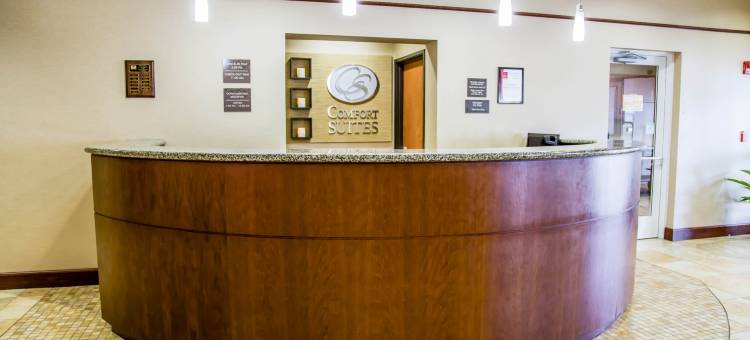 舒适套房酒店-萨拉索塔-西耶斯塔岛(Comfort Suites Sarasota-Siesta Key)图片