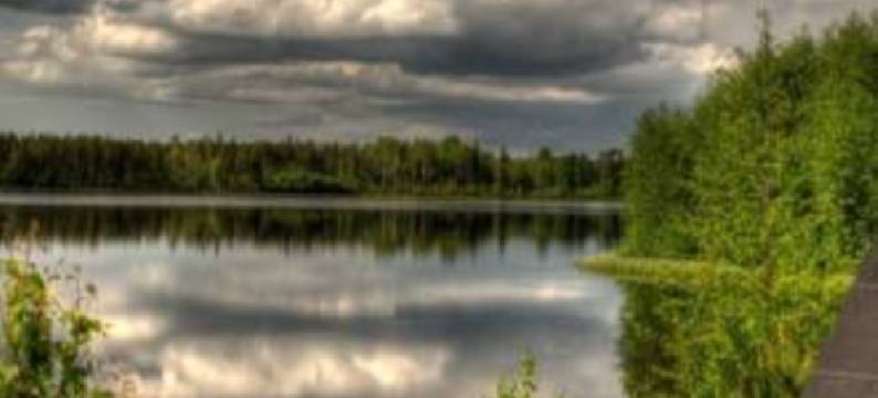 嘉斯坎洛玛哈玛假日公寓酒店(Haarusmaa Holiday Apartment Härmä)图片