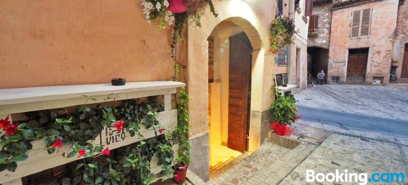 马达莱娜公寓(Maddalena House)图片