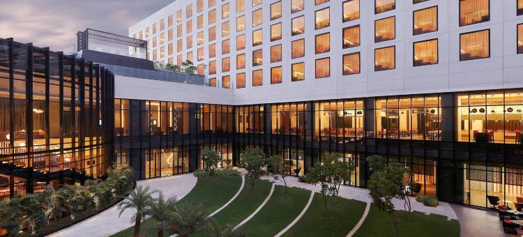 新德里机场诺富特酒店(Novotel New Delhi Aerocity- International Airport)图片