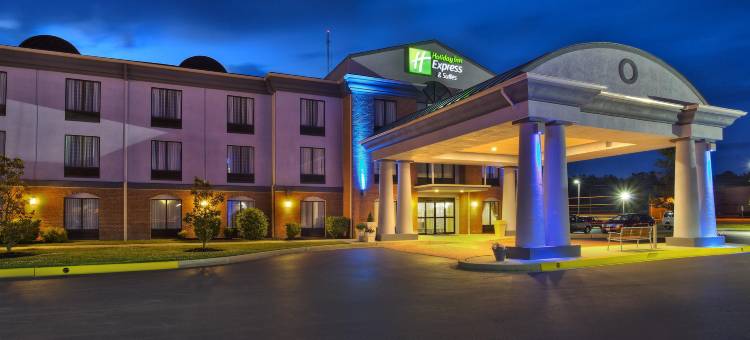 智选假日套房酒店哈灵顿(多弗地区)(Holiday Inn Express & Suites Harrington)图片