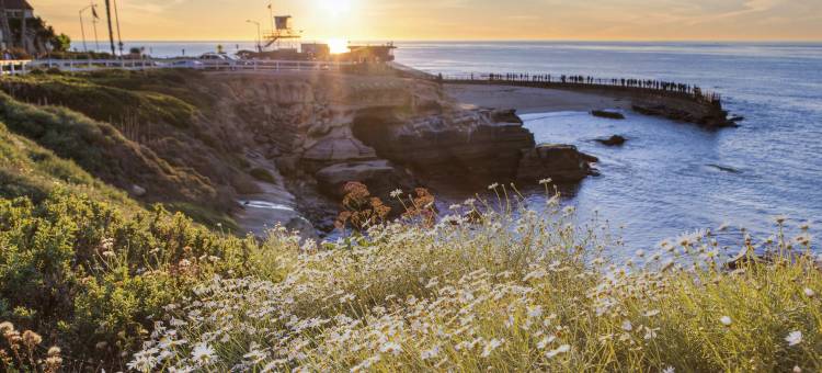 圣迭戈德玛 Residence Inn 酒店(Residence Inn San Diego Del Mar)图片