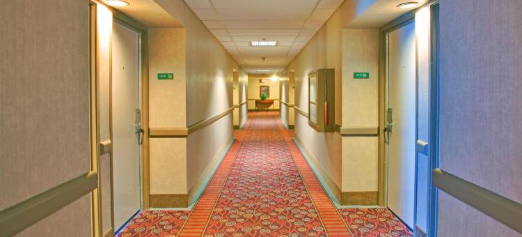 圣迭戈海湾希尔顿逸林酒店(DoubleTree by Hilton San Diego Bayside)图片