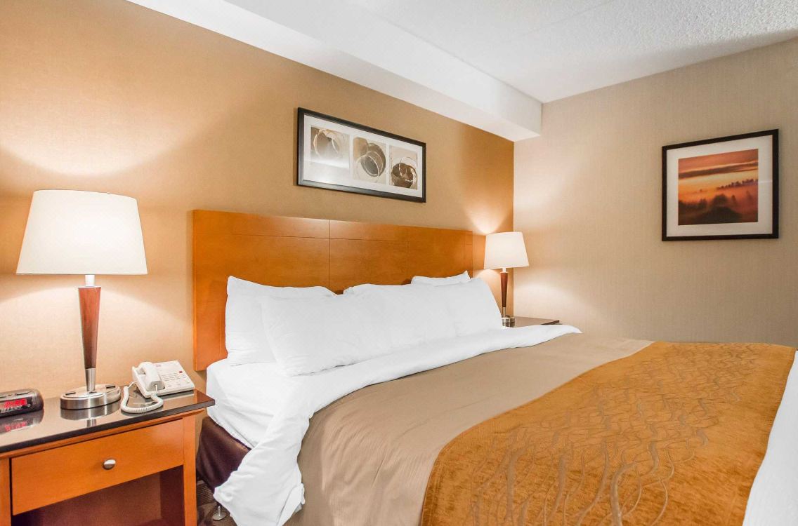Comfort Inn Edmundston Hotel Reviews And Room Rates