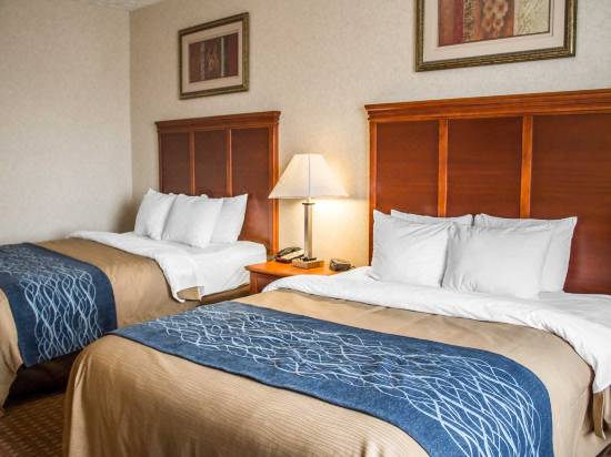 Comfort Inn And Suites Kent Hotel Reviews And Room Rates Trip Com
