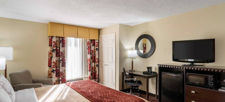 凯艺套房酒店(Quality Inn & Suites)图片